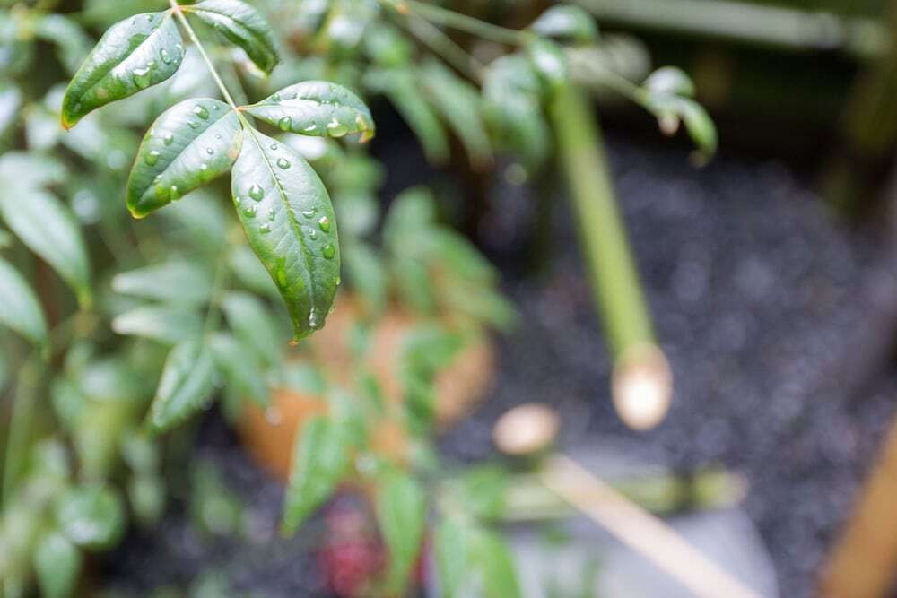 施設からの眺望