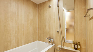 [翌日1DAYパスポート付] スーペリアルーム