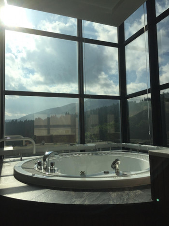 リゾナーレ トマム／ザ・タワー（北海道）4247611