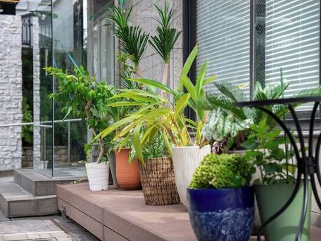 かごしまプラザホテル天文館 / 5