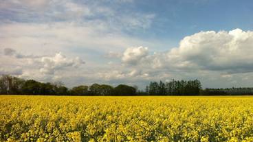 施設からの眺望 / 27