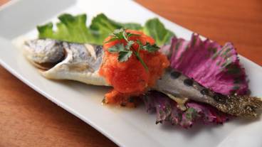 食事・飲み物 / 19