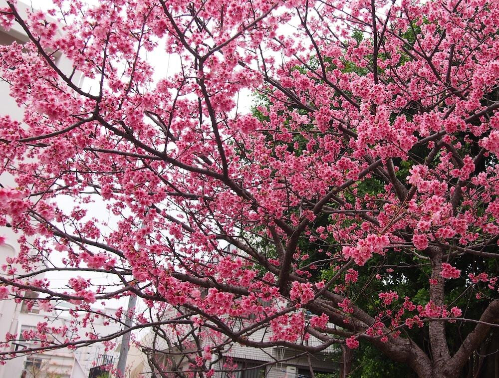 施設からの眺望