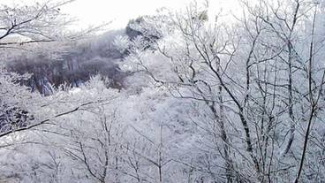 ランド ビュー / 39