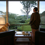 愛犬との旅なら伊豆旅行!ペットと泊まれる宿&観光スポット