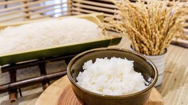 朝食ビュッフェ / 2