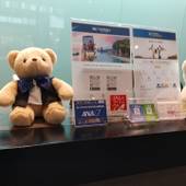 ベストウェスタンプラスホテルフィーノ千歳(北海道 ビジネスホテル) / 3