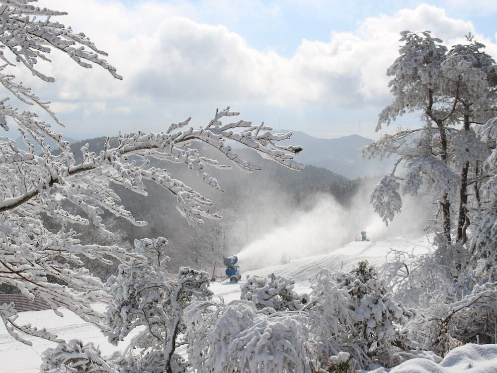 スノー スポーツとスキー