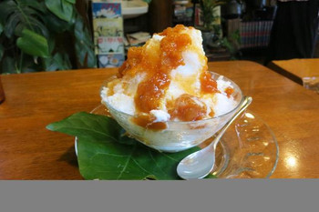 「いちょうの木」料理 1220647 あんず。