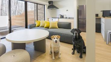 リビング エリア / 37