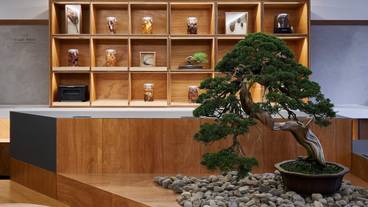 ロビーラウンジ / 7