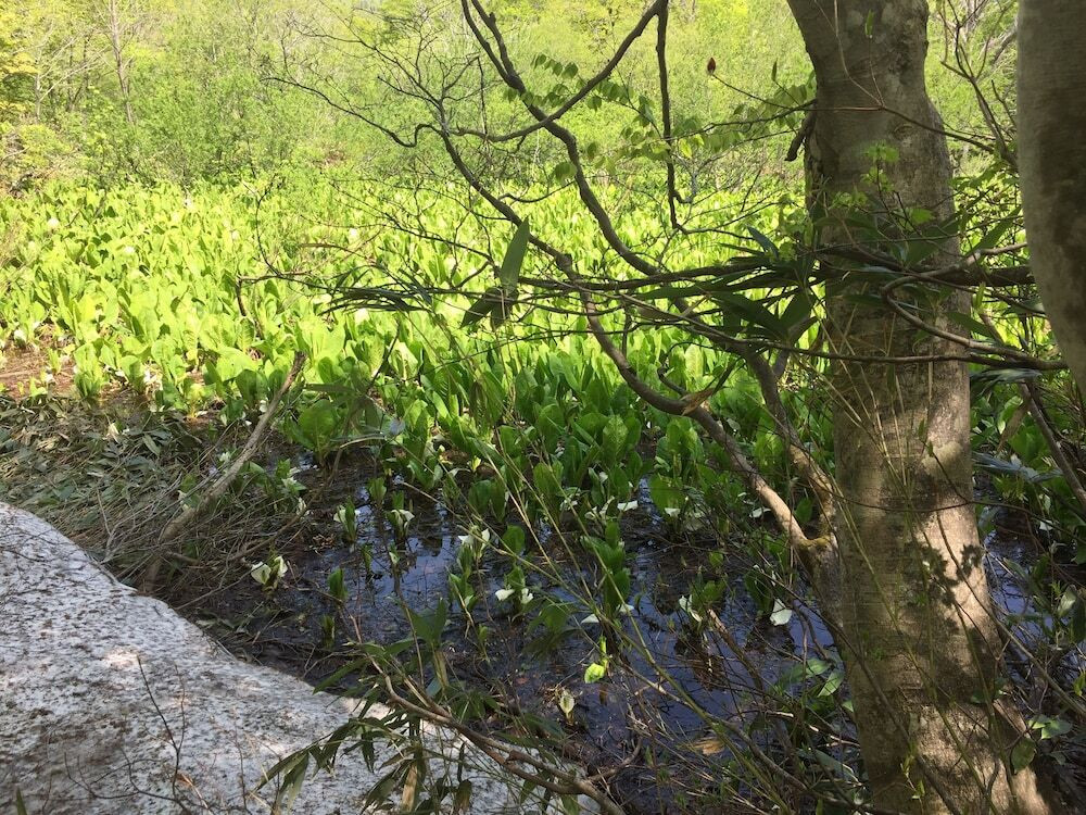 施設からの眺望