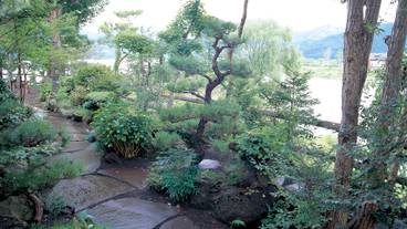 河口湖畔の遊歩道 / 12