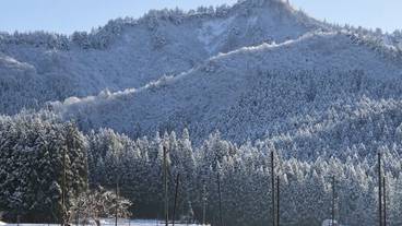 リビング エリア / 7