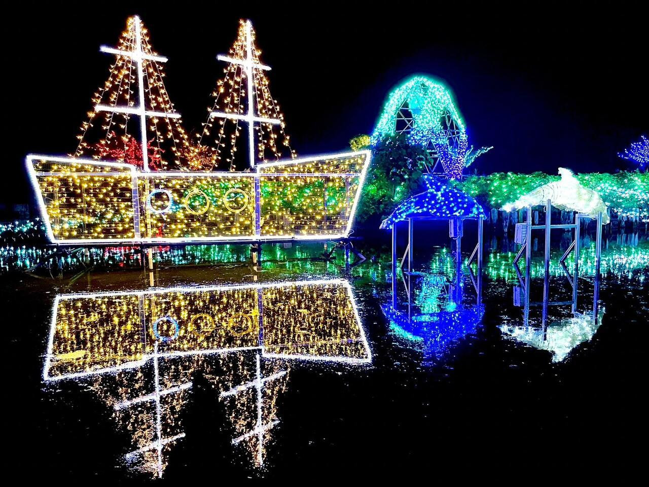 イルミネーションが輝くお庭を手を取り合ってお散歩3233391