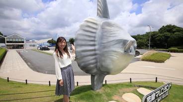 観光スポット / 4