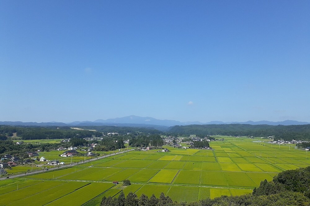 施設からの眺望