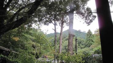 施設の敷地 / 30