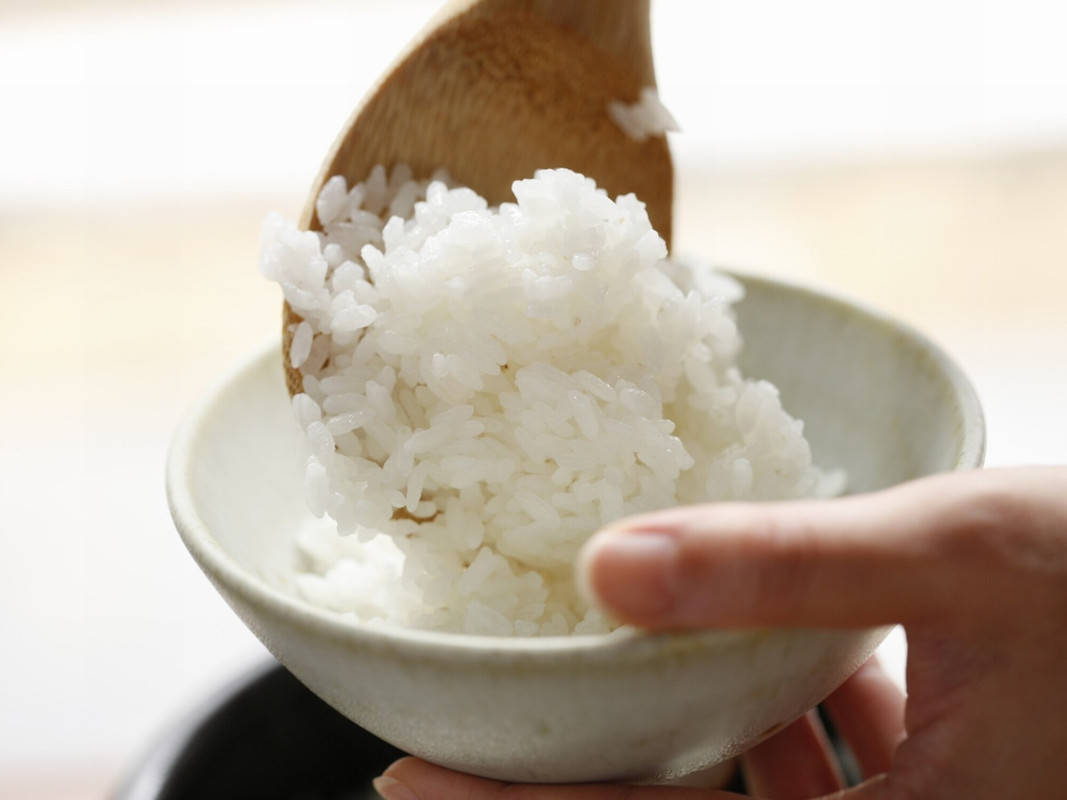 山形産のお米