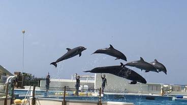 観光スポット / 2