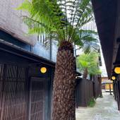 Rinn 四季十楽(Rinn Shiki Juraku)(京都府 別荘・ヴィラ・コンドミニアム) / 4