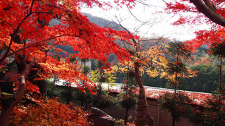 デラックス ルーム 禁煙 別館