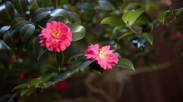 部屋からの景観 / 29