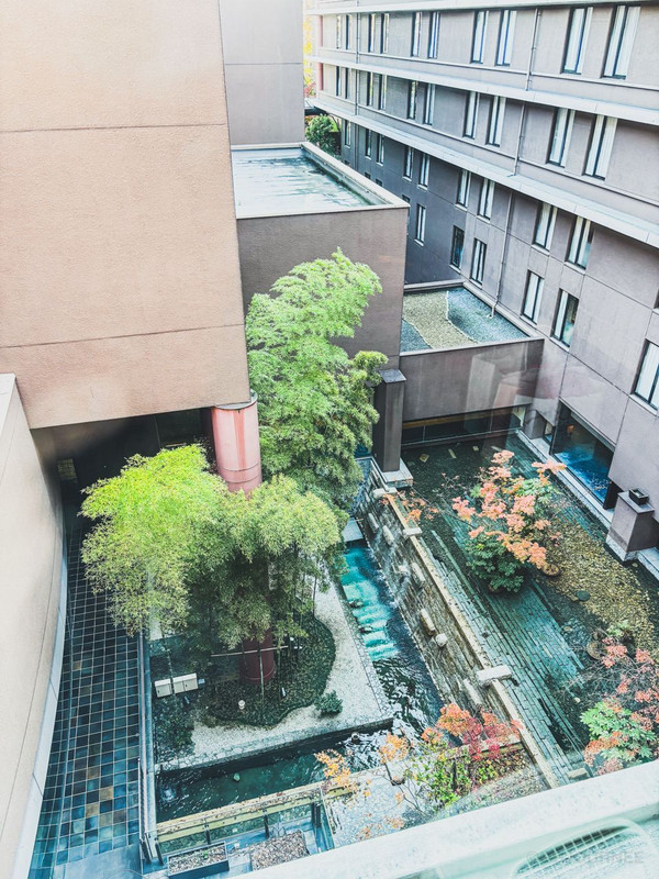 ggjourneeさんの写真 / 4
