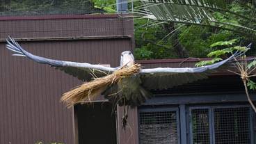 観光スポット / 12