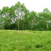 志賀グランドホテル（長野県 リゾートホテル） / 4