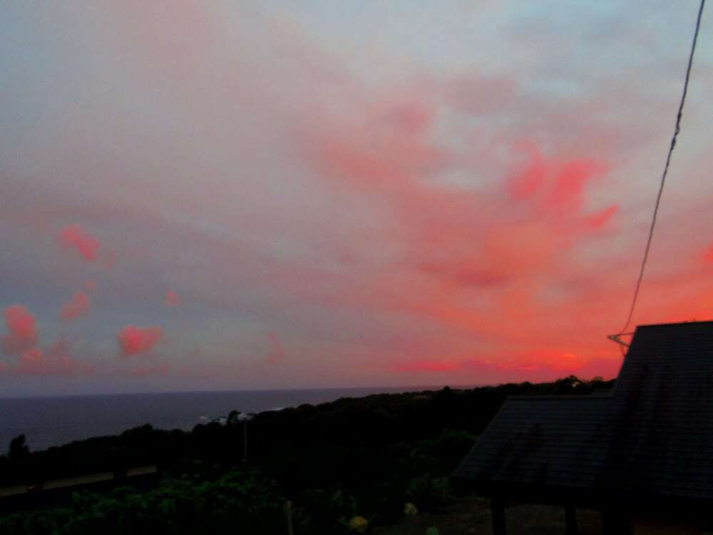 マウンテン ビュー