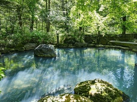 那須温泉 山楽 / 1