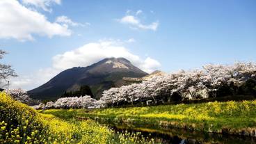 施設からの眺望 / 27