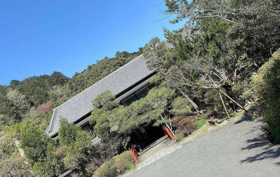 rudorufuuさんの写真 / 2