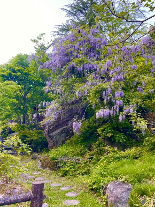 nozomi.t_210さんの写真 / 2