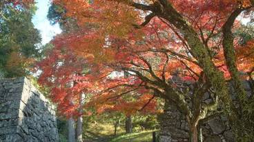 施設の敷地 / 11