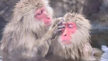 観光スポット / 24