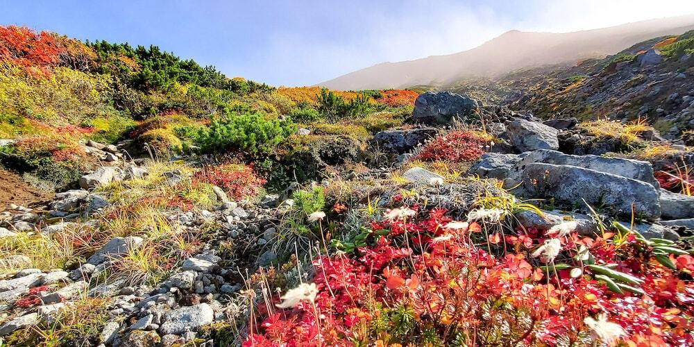 施設からの眺望