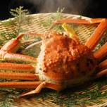 福井で味わうカニの王様♪「越前ガニ」の美味しいお店6選