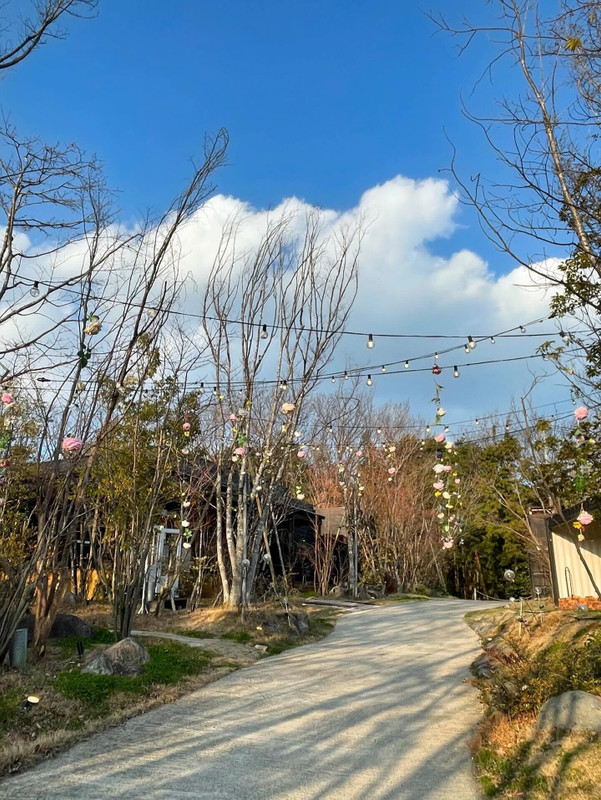 お部屋には一緒に荷物も持っていただき、ご飯の場所、トイレ、温泉などの場所も丁寧に教えていただきました。 / 2