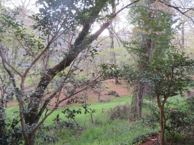 露天風呂からの眺め