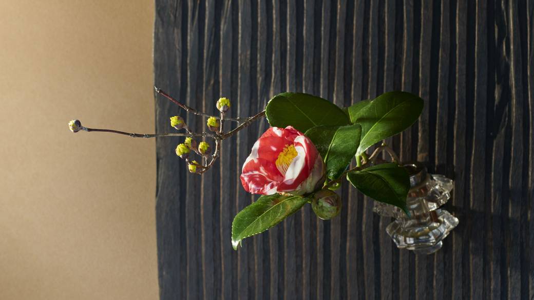 ラウンジでのんびり
思い出を写真に残そう / 4