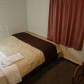 浜松ステーションホテル（くれたけホテルチェーン）（静岡県 ビジネスホテル） / 5