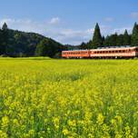 のどかな里山と房総グルメに癒される♪千葉県「外房」の観光スポット8選