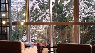 ロビー応接スペース / 3