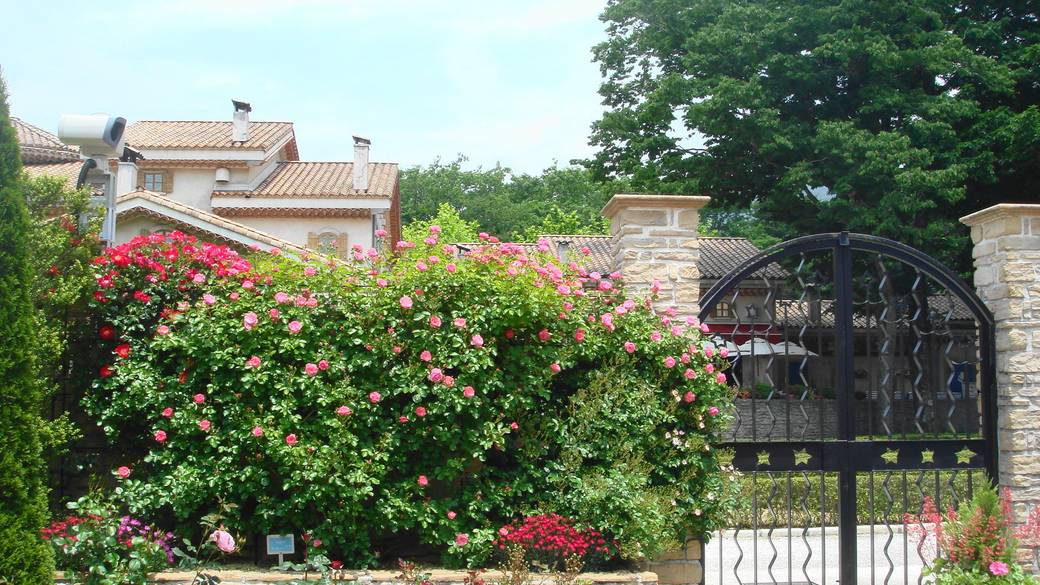 庭園を歩いて
美しい世界に浸る / 2