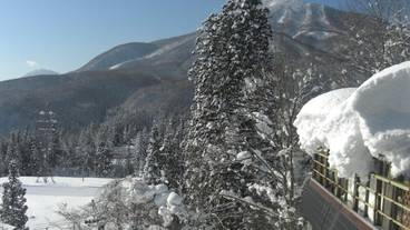 部屋からの景観 / 11