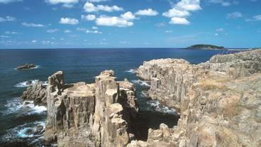 観光スポット / 7