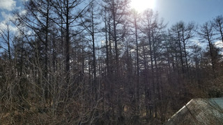 トリプルルーム 禁煙