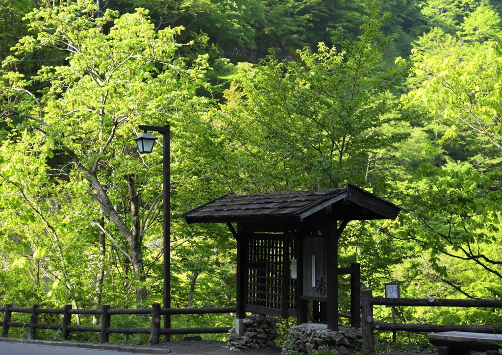 併せて立ち寄りたい♪白骨温泉近隣の観光スポット3380131